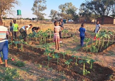De groentetuin bij het Thembiso weeshuis die de jongeren zelf bijhouden
